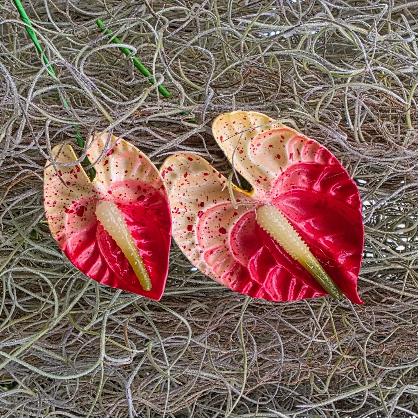 ANTHURIUM PUA PICK / – Small Fry Kauai