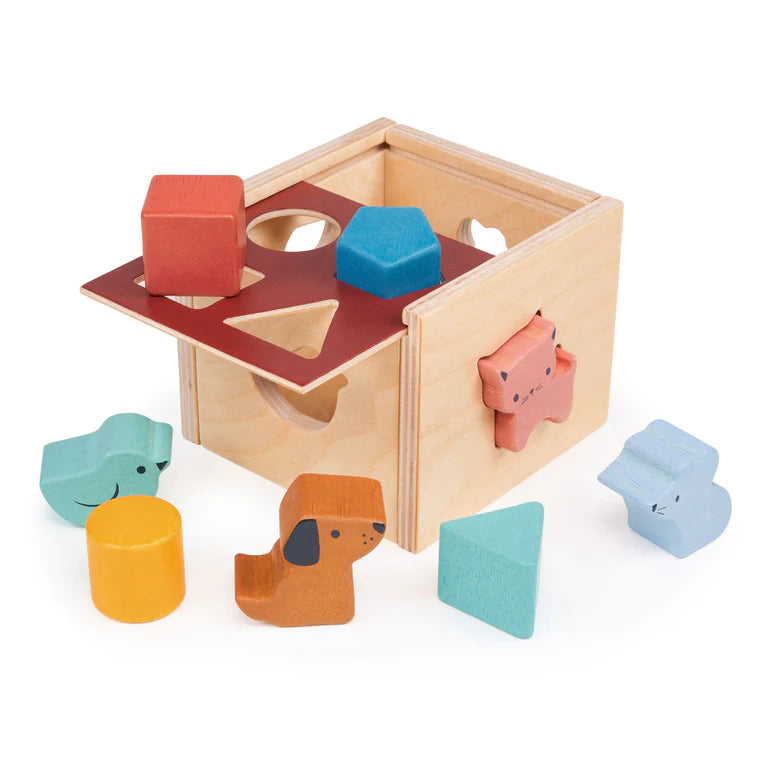 Wooden shape online sorting cube