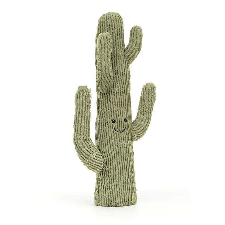 AMUSEABLE DESERT CACTUS – Small Fry Kauai