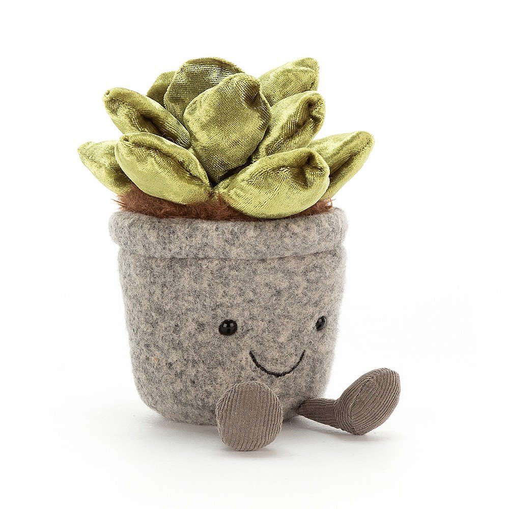 funny succulent SILLY SUCCULENT JADE – Small Fry Kauai